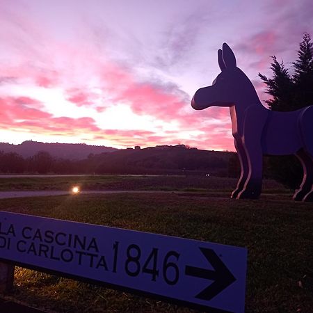 La Cascina Di Carlotta 1846 Agriturismo 알바 외부 사진
