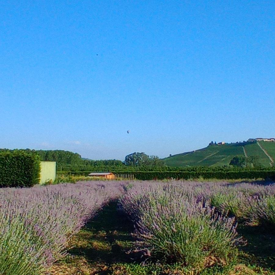 La Cascina Di Carlotta 1846 Agriturismo 알바 외부 사진