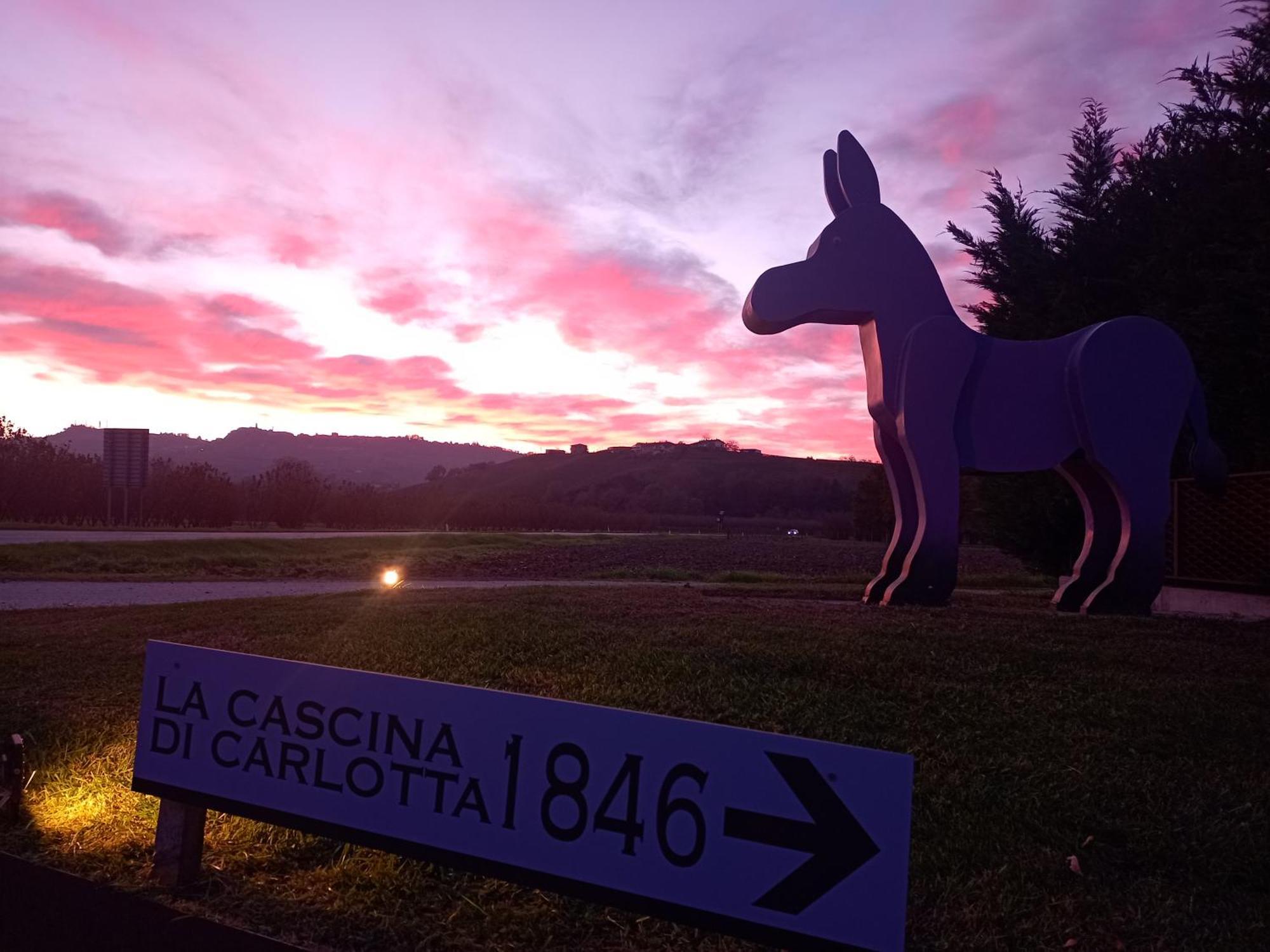 La Cascina Di Carlotta 1846 Agriturismo 알바 외부 사진